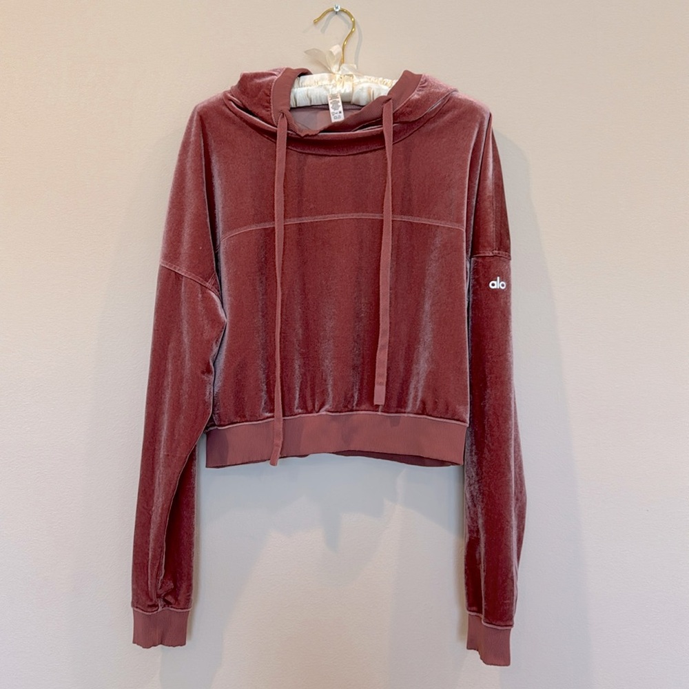ALO Yoga Women's Velvet Cropped Hoodie in Dusty Rose